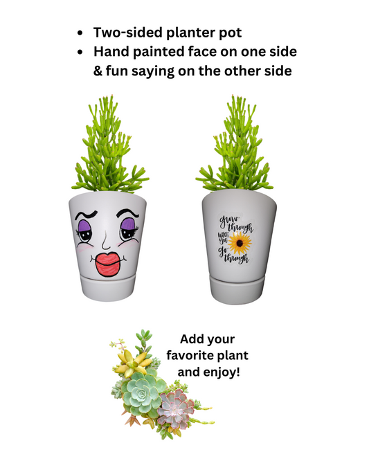 Planter face pots (2 sizes/4 styles)